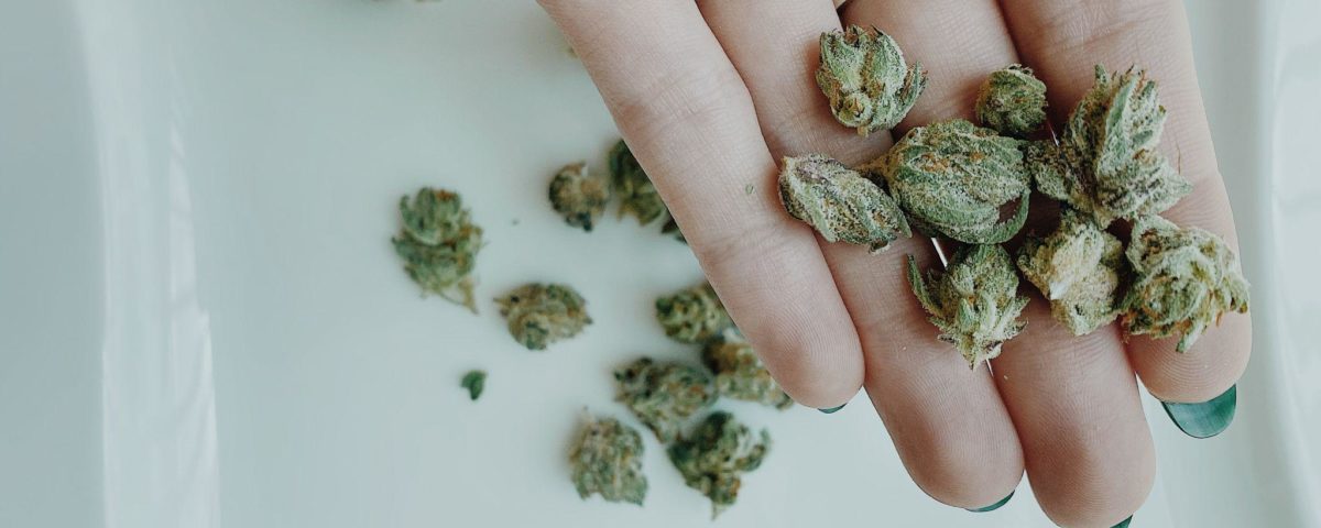 Navigating Florida's Medical Marijuana Program