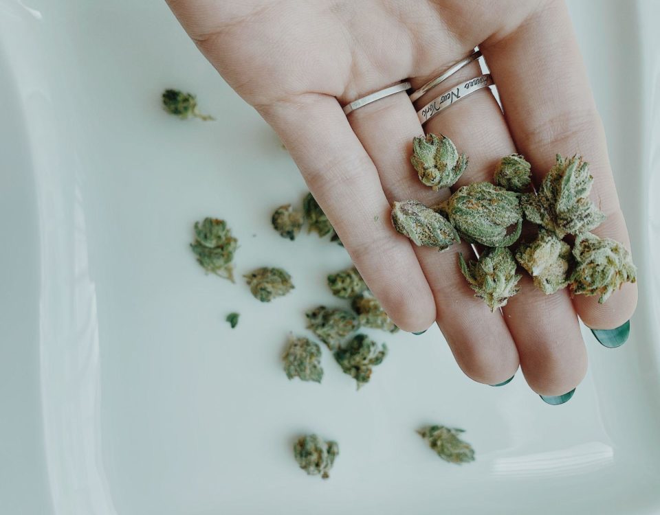 Navigating Florida's Medical Marijuana Program