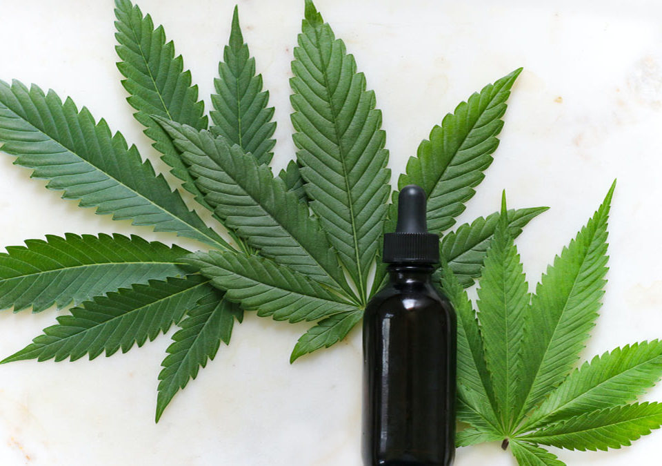Medical Cannabis in Mental Health Treatment